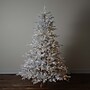Nearly Natural 7' Pre-Lit Artificial White California Spruce Christmas Tree with 440 Color Changing LED Lights (T4802)~#|#~9CE6575E-239E-4EB5-A93A31CE4DD08907_sc7