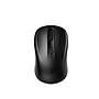 Styletech Wireless Ergonomic Keyboard and Mouse Combo, Black (STY-MK200-US)~#|#~9CF8AA39-0561-4887-8FB84476093D31D0_sc7