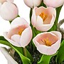 National Tree Company 10" Pink Tulip Bouquet in White Basket (MT81-10926GPK-1)~#|#~9D020886-476D-4B2C-B523CE90B00428B4_sc7
