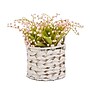 National Tree Company 11" Pink Lily-of-the-Valley Flowers in White Basket (MT81-00126GPK-1)~#|#~9D1D929C-4C69-4559-A09CBAF35B0516E7_sc7
