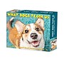 2027 Willow Creek What Dogs Teach Us 5.4" x 6.2" Day-to-Day Calendar (63835)~#|#~9D2B852B-46B5-4CCB-AAB233467F8AA128_sc7