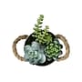 Monarch Specialties Inc. 7" Artificial Succulent Plant in Pot, 2/Set (I 9361)~#|#~9D33BCD2-529B-48A3-A612B3C3A3643768_sc7