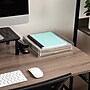 Mind Reader Acrylic Desk Tray, Clear (ATRAY-CLR)~#|#~9D3FF0DC-BE11-4322-8E743EF1AD62CAFA_sc7