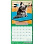 2026 Plato Avanti Cranky Kitties 12" x 12" Monthly Wall Calendar (9798330701421)~#|#~9D52D61B-FC80-4534-9A16223EECD33916_sc7