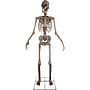 Haunted Hill Farm 8' Tall Motion-Activated Towering Skeleton (HHTWRSKEL-2FLSA)~#|#~9D7576E8-04B3-4960-852058BA99F9DC59_sc7