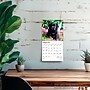 2026 BrownTrout Black Labrador Retriever Puppies 7" x 7" Monthly Wall Calendar (9798330704187)~#|#~9D7CFFCD-1408-4532-8DB9EA5EEE8E2081_sc7