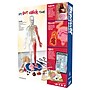 SmartLab Toys Squishy Human Body Boxed Set (834509000540)~#|#~9D7F4F4C-A1C9-414F-8524EEEACCE275B1_sc7