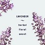 Febreze Light Air Handheld Aerosol, Lavender, 8.8 Oz. (62970)~#|#~9D83043C-5D5B-4B62-9239C92ABC588461_sc7