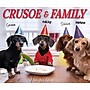 2027 Willow Creek Crusoe the Celebrity Dachshund 6.2" x 5.4" Daily Day-to-Day Calendar, Assorted Colors (63378)~#|#~9D8D5E4A-4246-4548-B297F92C6C54E649_sc7