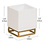 Mind Reader Pen Holder, White (PENWD-WHT)~#|#~9D9416C7-F778-4D99-85A0A721F3FFB2E2_sc7