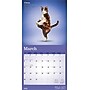 2026 BrownTrout Yoga Cats 12" x 12"  Monthly, Paper Cover, Yoga Cats (9798330701919)~#|#~9DA9F1B4-2732-4E15-A3F4E68B75D35005_sc7