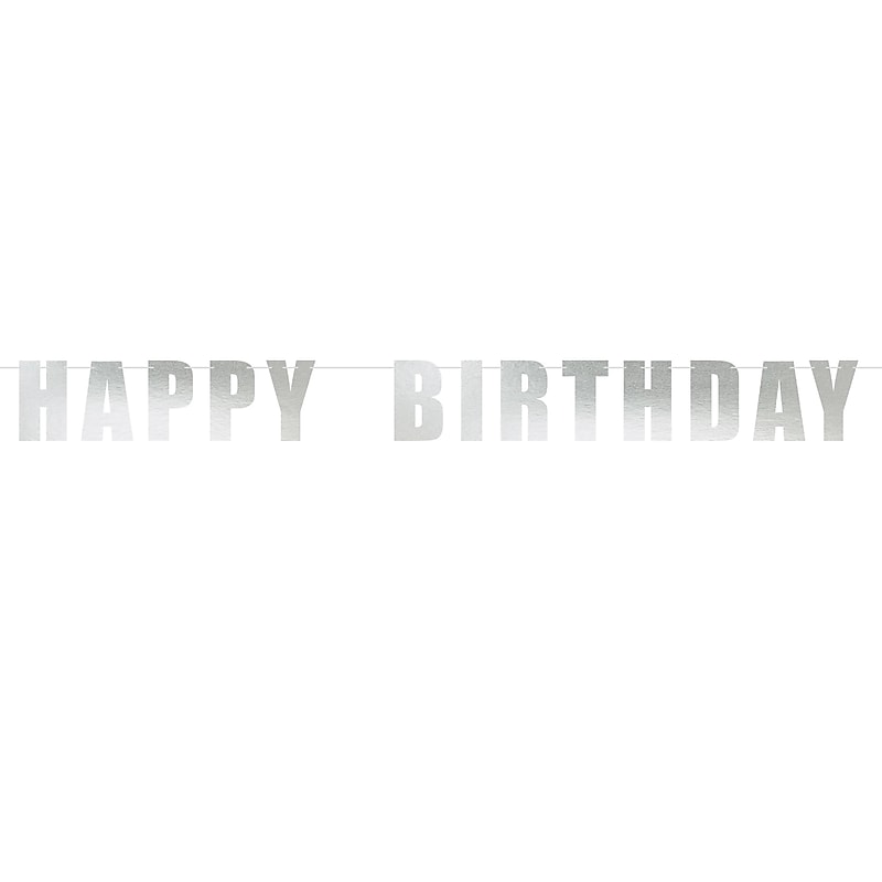 Party City Happy Birthday Letter Banner, Silver (AM121073) image 1