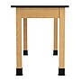 Diversified Woodcrafts Rectangular Science Lab Table, 54" x 24", Light Hardwood (P7206M30N)~#|#~9DE2A279-9FCC-4F95-9FC477E19FF67347_sc7