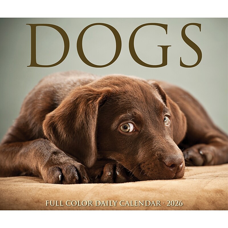 2026 Willow Creek Dogs 6.2" x 5.4" Day-to-Day Calendar (54147) image 1