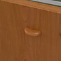 Bush Business Furniture Cubix 3-Drawer Mobile Vertical File Cabinet, Letter/Legal Size, Natural Cherry/Slate (WC57453PSU)~#|#~9E04287F-FD6B-41A1-A3E8B6F305179AB1_sc7