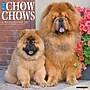 2027 Willow Creek Chow Chows 12" x 12" Monthly Wall Calendar (59708)~#|#~9E2768B1-1B59-4BD7-9B90145BD737AA52_sc7