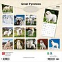 2026 BrownTrout Great Pyrenees 12" x 12" Monthly Wall Calendar (9798330703531)~#|#~9E2D0DC2-DFA6-4B9A-876D22D397F6FE1F_sc7