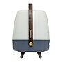 Kooduu Lite Up Play 15.75" LED Speaker Lamp with USB Port, Ocean (1201-07)~#|#~9E3CFBF0-A58B-4BB6-8041ECB0A3E8AA76_sc7