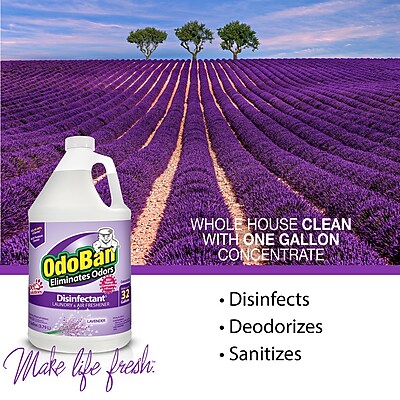 OdoBan Air Freshener & Deodorizer - Thumbnail 4