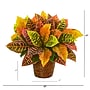 Nearly Natural Garden Croton in Basket (8870)~#|#~9E585294-C898-47F2-83986BF39206C690_sc7