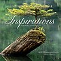 2026 Willow Creek Inspirations 7" x 7" Monthly Wall Calendar (53614X)~#|#~9E6161A5-2964-4277-BB6932C2CDF911FA_sc7