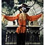 Haunted Hill Farm Life-Size Animatronic Skeleton Scarecrow (HHSCR-1FLSA)~#|#~9E67E54D-98A8-4502-837A7991B9DEB89C_sc7