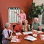 S&S Worldwide Bingo Masterboard Poster and Static Cling Chips, 75/Pack (19303)~#|#~9E6EA0E6-CEA4-4181-AFE04886B2A16691_sc7
