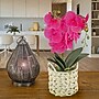 National Tree Company 21" Purple Orchid Flower in White Basket (MT81-PH0254PPR)~#|#~9E6EC437-222F-4133-899B4B0C86FE8C2A_sc7