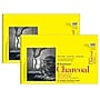 Strathmore 300 Series 11" x 17" Wire Bound Charcoal Sketch Pad, 32 Sheets/Pad, 2/Bundle (STTP330111-2)~#|#~9E7C1FF4-152E-41D9-80C6851DA8A54A92_sc7