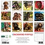2027 Willow Creek Dachshund Puppies  12" x 12" Monthly Wall Calendar (59944)~#|#~9E7F3F34-8D2D-491E-911E2FEDCFA112CB_sc7