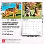 2027 BrownTrout For the Love of German Shepherds 14" x 12" Monthly Wall Calendar, Assorted Colors (9798330709250)~#|#~9E81B9CC-5232-4B3A-94D3175554596BDE_sc7