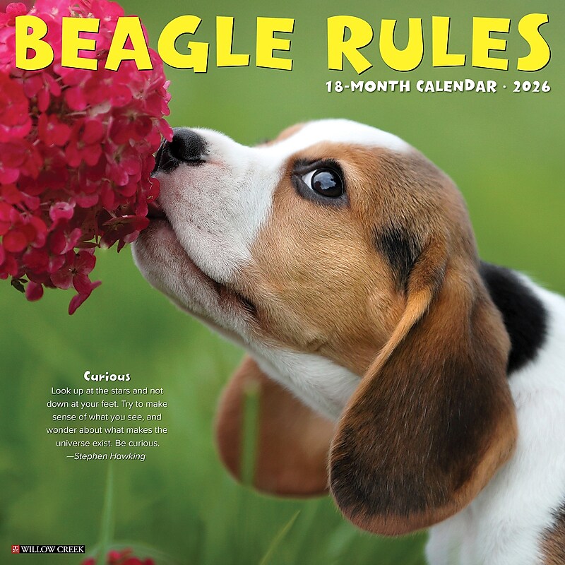 2026 Willow Creek Beagle Rules 12" x 12" Monthly Wall Calendar (50149) image 1
