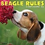 2026 Willow Creek Beagle Rules 12" x 12" Monthly Wall Calendar (50149)~#|#~9E81F406-31B0-43B6-8956CBBE27691CAF_sc7