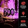 Haunted Hill Farm 2.3-Ft. LED Metal “Boo” Stake Decoration, Indoor & Covered Outdoor, Solar Powered, Black (HHMT027BOOWEB-BLK)~#|#~9E8E3872-F78F-4233-A2D7CAA80BBD6447_sc7