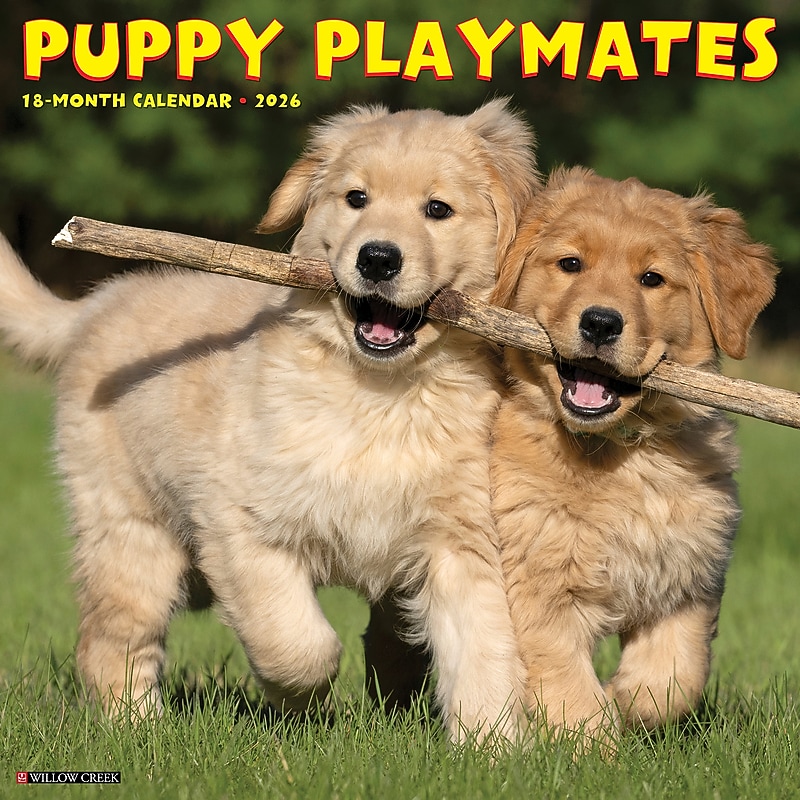 2026 Willow Creek Puppy Playmates 12" x 12" Monthly Wall Calendar (52525X) image 1