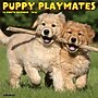 2026 Willow Creek Puppy Playmates 12" x 12" Monthly Wall Calendar (52525X)~#|#~9E930FAD-F5A4-4DA3-8081719BBFE26D63_sc7