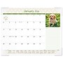 2026 AT-A-GLANCE Puppies 21.75" x 17" Monthly Desk Pad Calendar (DMD166-32-26)~#|#~9ED1A435-4435-4951-8558AAD49E8EBF75_sc7