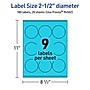 Avery Laser/Inkjet Multipurpose Circle Labels, 2.5" Dia., Bright Blue, 180/Pack (94502)~#|#~9EDBA842-BEAF-4920-9F86166CECC75012_sc7