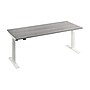Bush Business Furniture Move 40 Series 72"W Electric Adjustable Standing Desk, Platinum Gray (M4S7230PGWK)~#|#~9EDC8A47-FC86-4EC5-94D970905AA79166_sc7