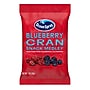 Ocean Spray Blueberry Cran Snack Medley, 1 oz, 10/Pack (307-00426)~#|#~9EE7E337-E1CF-4B76-A75E56DF08D3B610_sc7