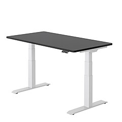 FlexiSpot E7 Series 60