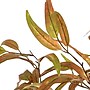 Nearly Natural 5' Autumn Wispy Eucalyptus Artificial Fall Tree (T4741)~#|#~9EFDDE80-1B9C-463B-AB8DED317BBB8C68_sc7