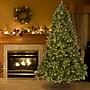 National Tree Company Downswept Douglas Fir Artificial Christmas Tree, 7 ft., Clear Lights (PEDD1-312-70)~#|#~9F0DA148-39F0-4CE1-9D27330B42CD55C9_sc7