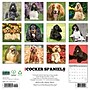 2027 Willow Creek Cocker Spaniels 12" x 12" Monthly Wall Calendar, Assorted Colors (59791)~#|#~9F1E38D2-6381-4A68-8E64EC1AB42366EB_sc7