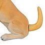 National Tree Company 28" Motion-Activated Labrador Retriever with Wagging Tail (BG-20344AR1YLW)~#|#~9F426DDA-E5FD-4A15-AA968E634AA93246_sc7