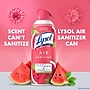 Lysol Air Sanitizer Spray, Summer Watermelon Scent, 10 oz. (19200-95763)~#|#~9F4333CD-1FE7-4508-8887D68F1CFCF2B5_sc7