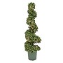 National Tree Company 44" Pre-Lit Artificial Boxwood Spiral Topiary (LBXM63-306-44UB)~#|#~9F53575A-DC46-4CE7-A1A105147679DAED_sc7