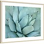 Amanti Art Agave Detail IV by Brittany Evans Wood Framed Wall Art Print, 41"W x 33"H (A42678978406)~#|#~9F580762-4400-4885-962E35C4B0F76DF4_sc7