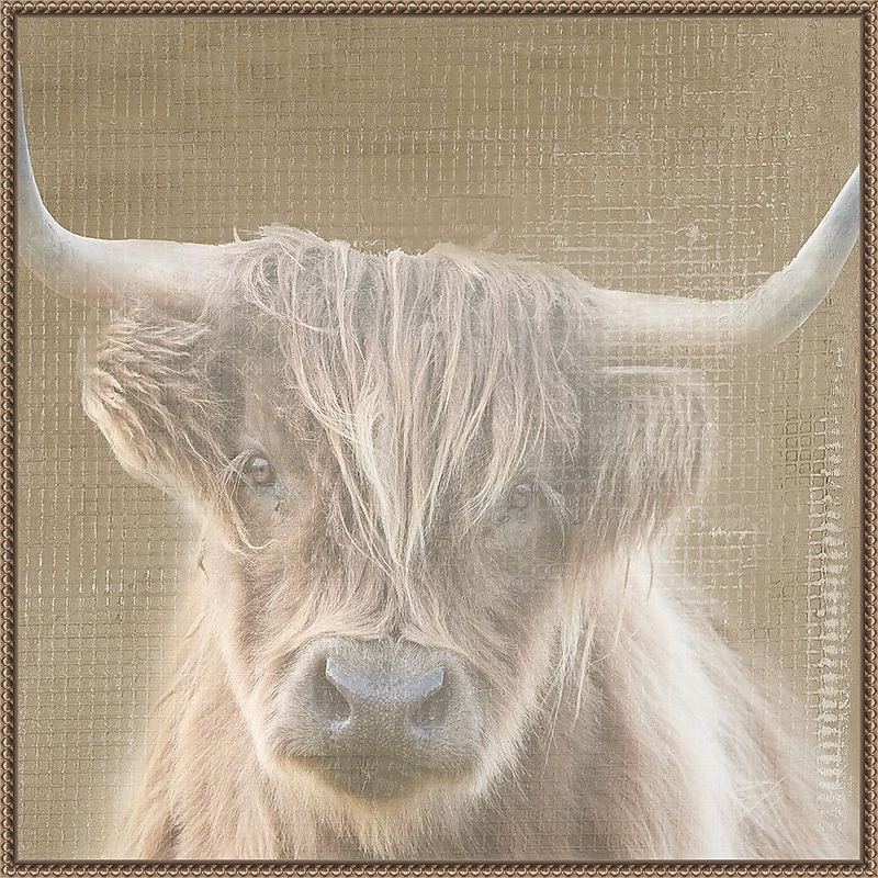 Amanti Art Soulful Bull by Patricia Pinto Framed Canvas Wall Art Print, 30" x 30" (A42678299508) image 1