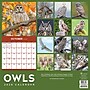 2026 TF Publishing Owls 12" x 12" Monthly Wall Calendar (26-1044)~#|#~9F87EB05-A32E-41CD-AB834AA177B979E1_sc7
